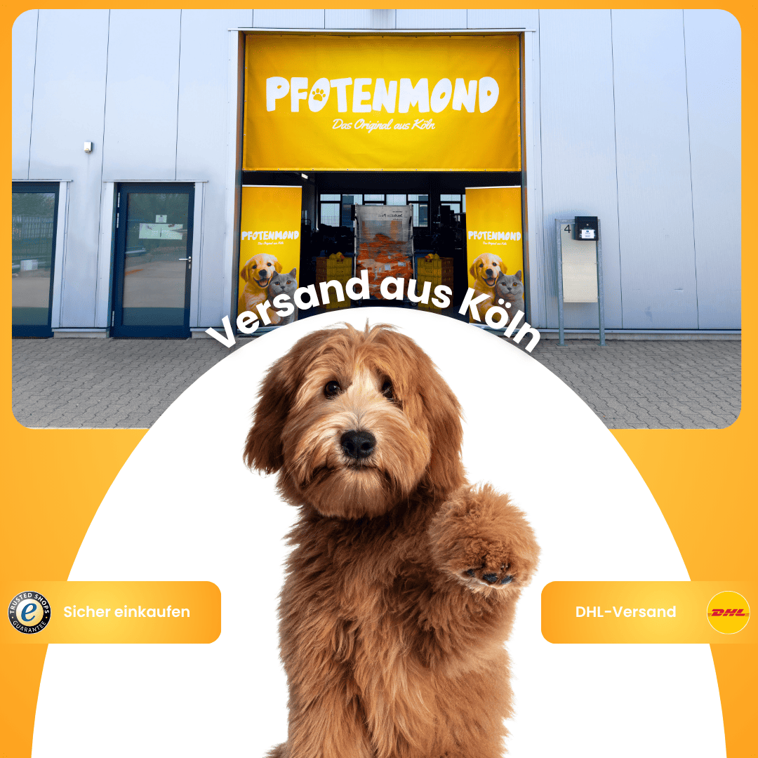 Set de 7 juguetes para perros