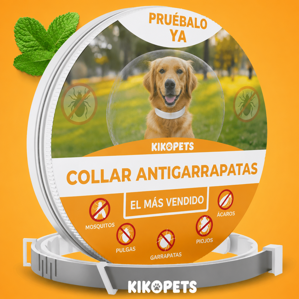 Collar ajustable para perros