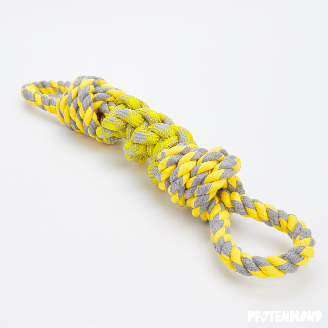Cuerda de juego para perros