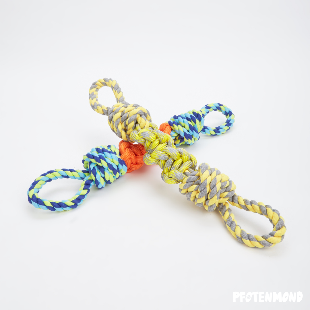 Cuerda de juego para perros