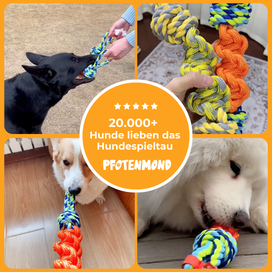 Cuerda de juego para perros