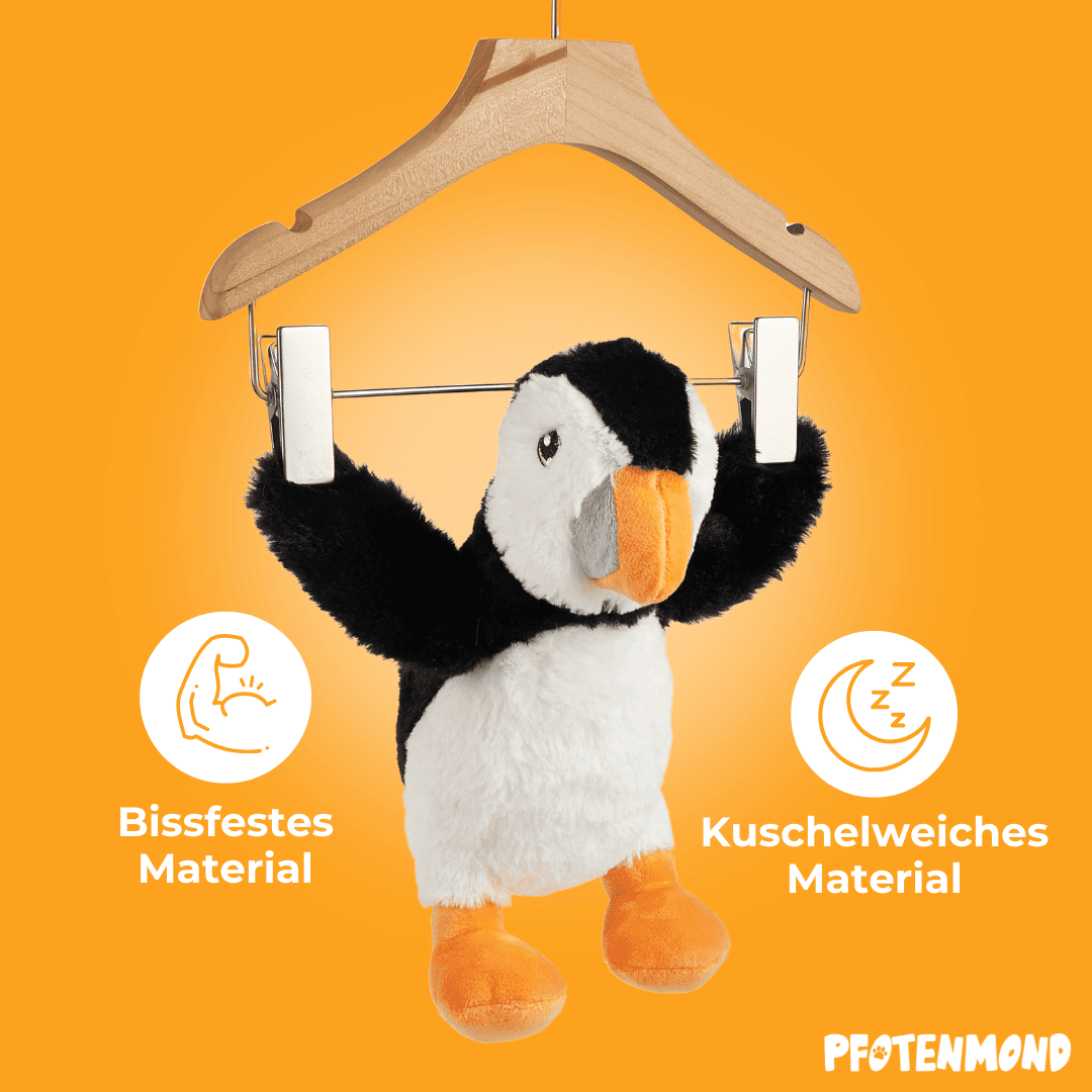 Frosty el pingüino
