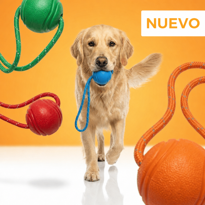 Pelota con cuerda