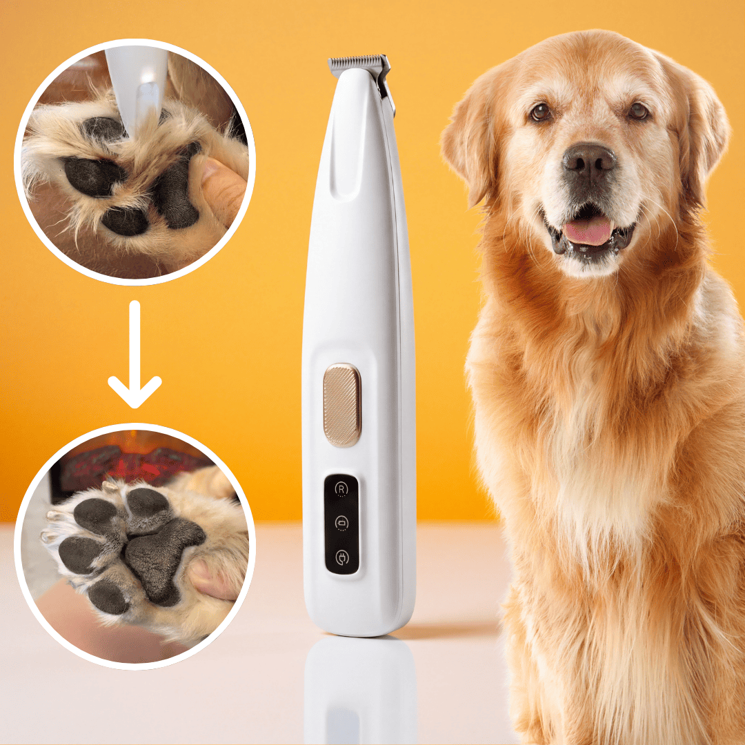 Recortadora de pelo para patas de perro