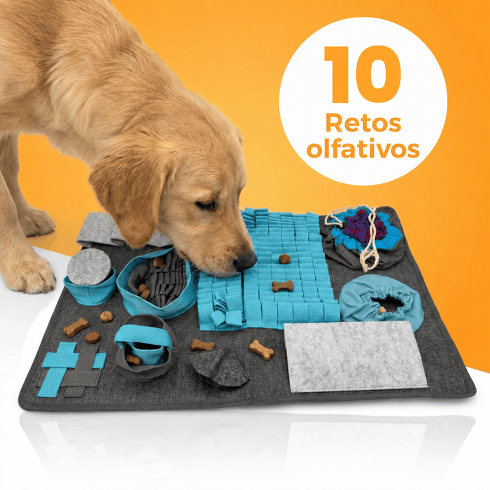 Alfombra olfativa