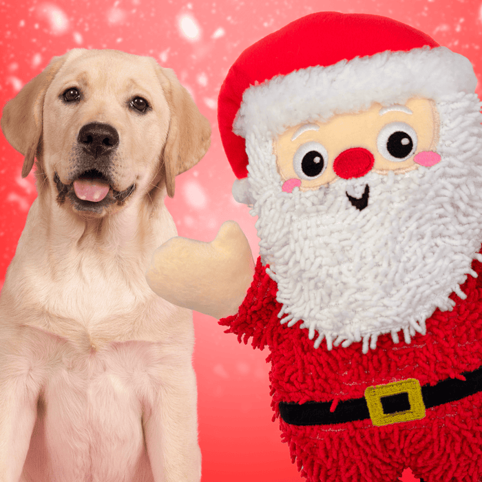 Santa Patitas