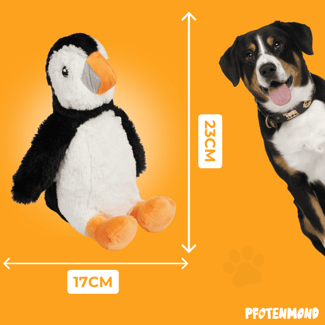 Frosty el pingüino