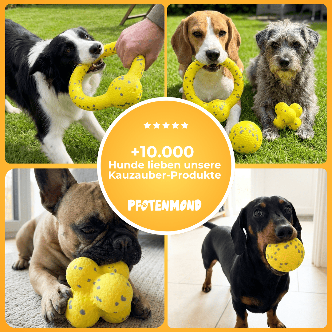 Pack de 3 juguetes para morder