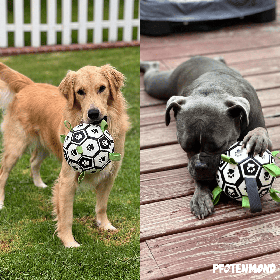 Balón mágico – Para interior y exterior
