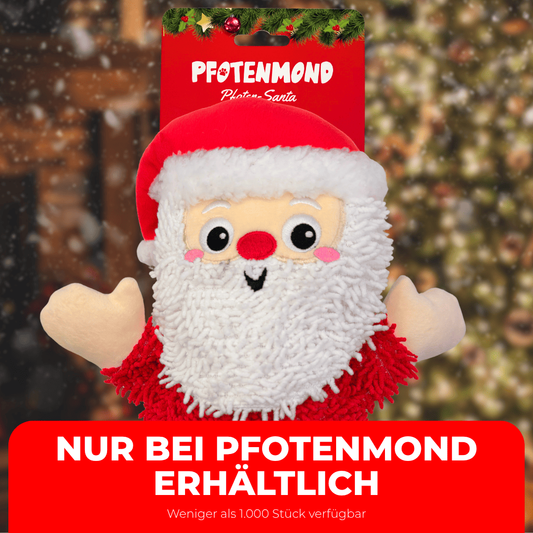 Santa Patitas