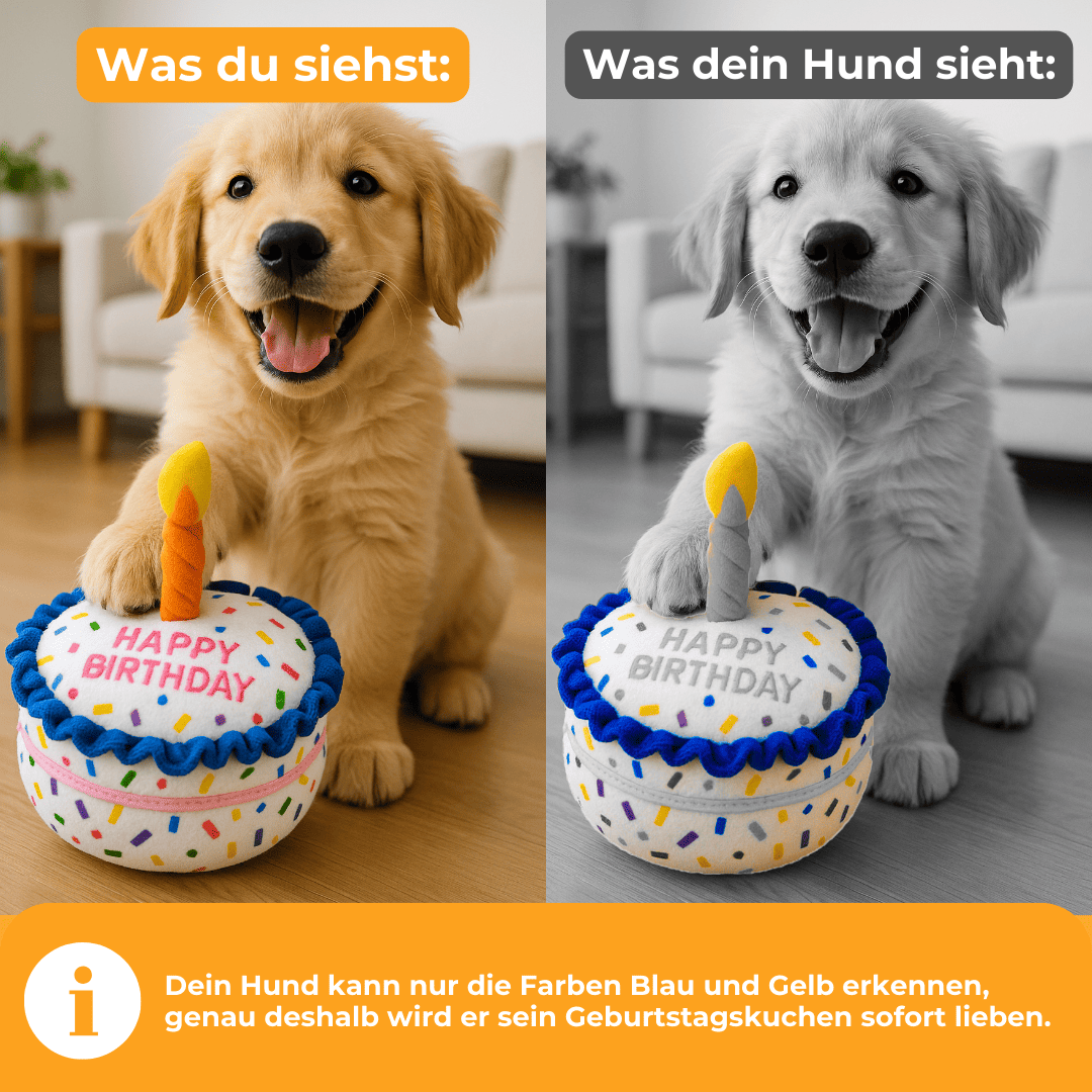 Tarta de cumpleaños para perros