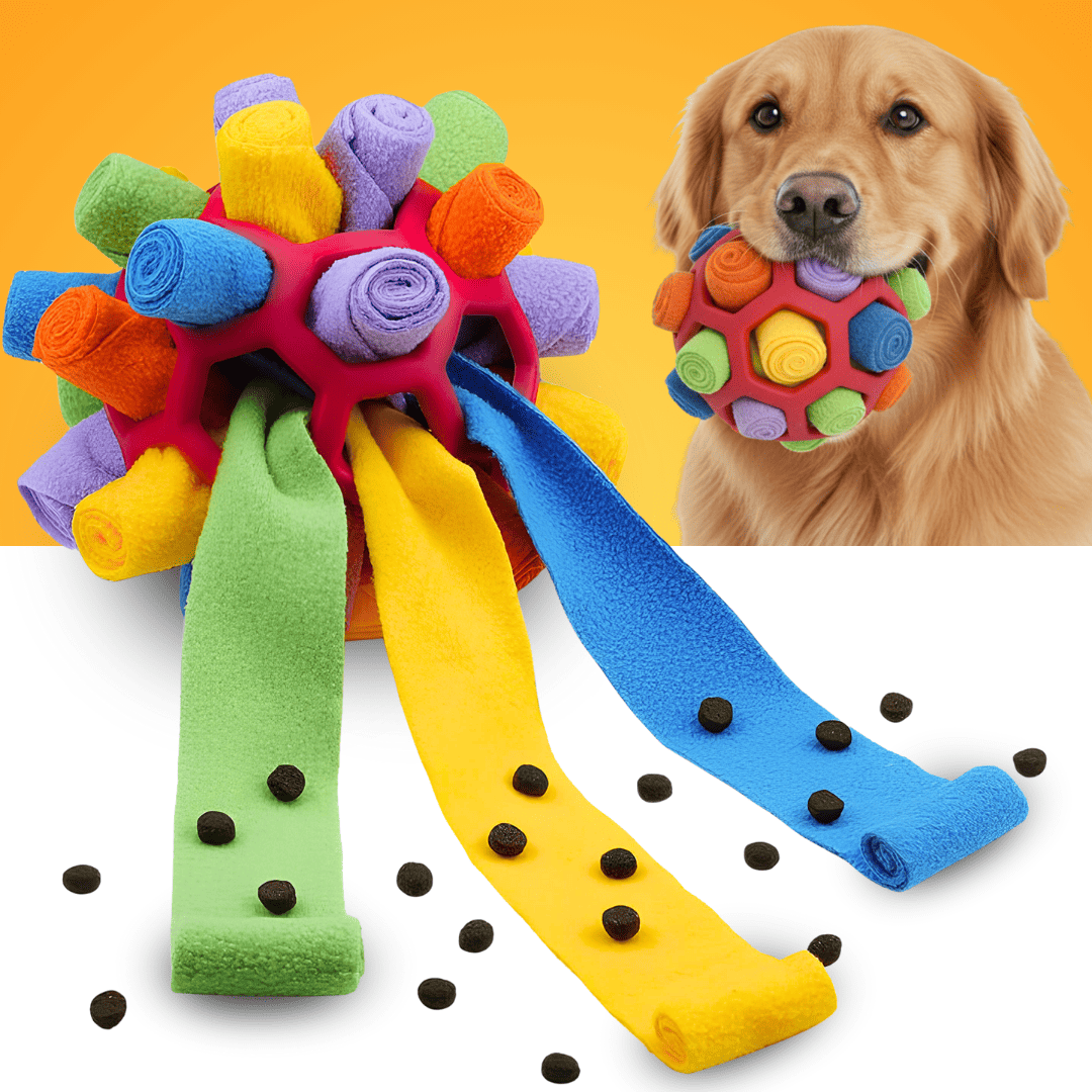 Pelota olfativa KikoPets