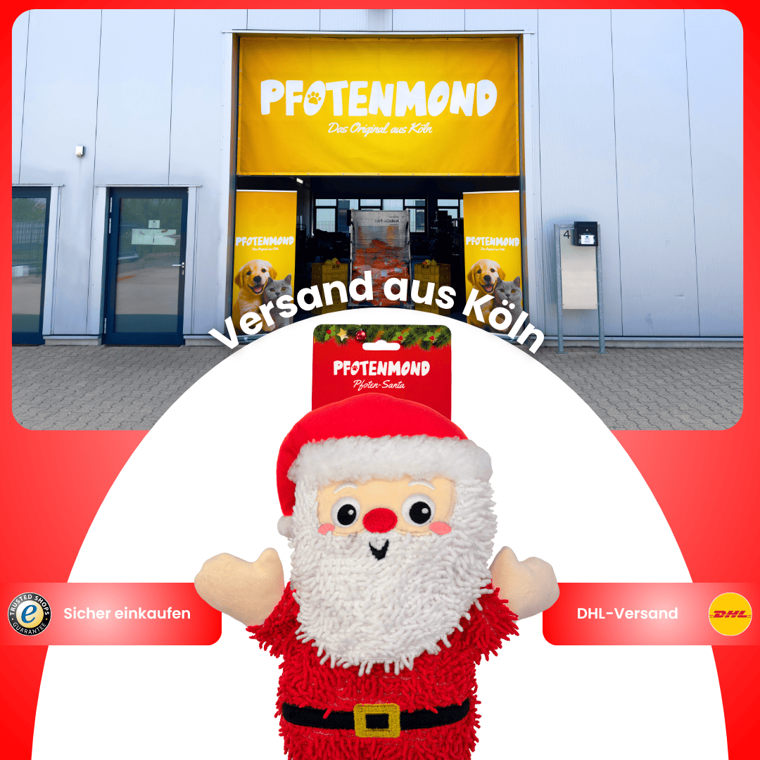 Santa Patitas