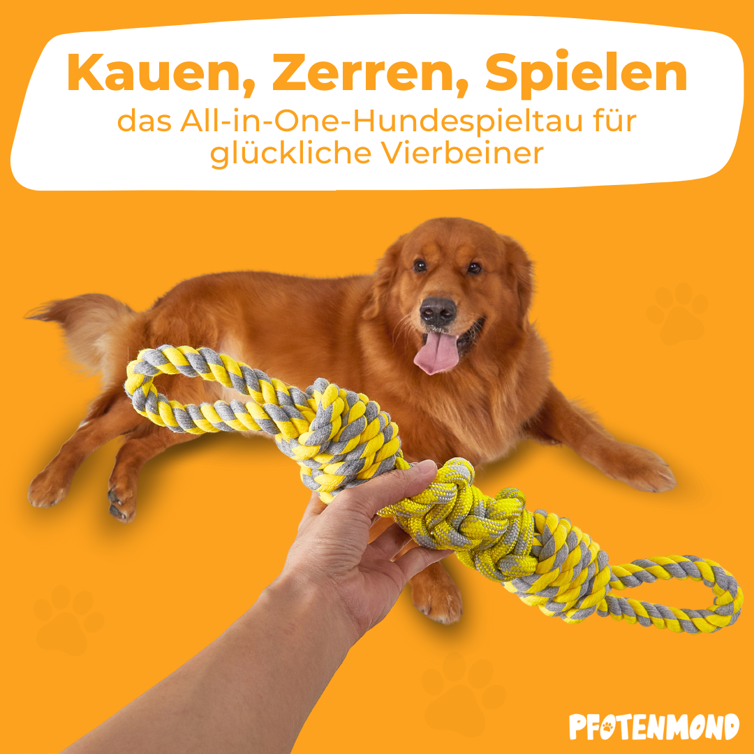 Cuerda de juego para perros