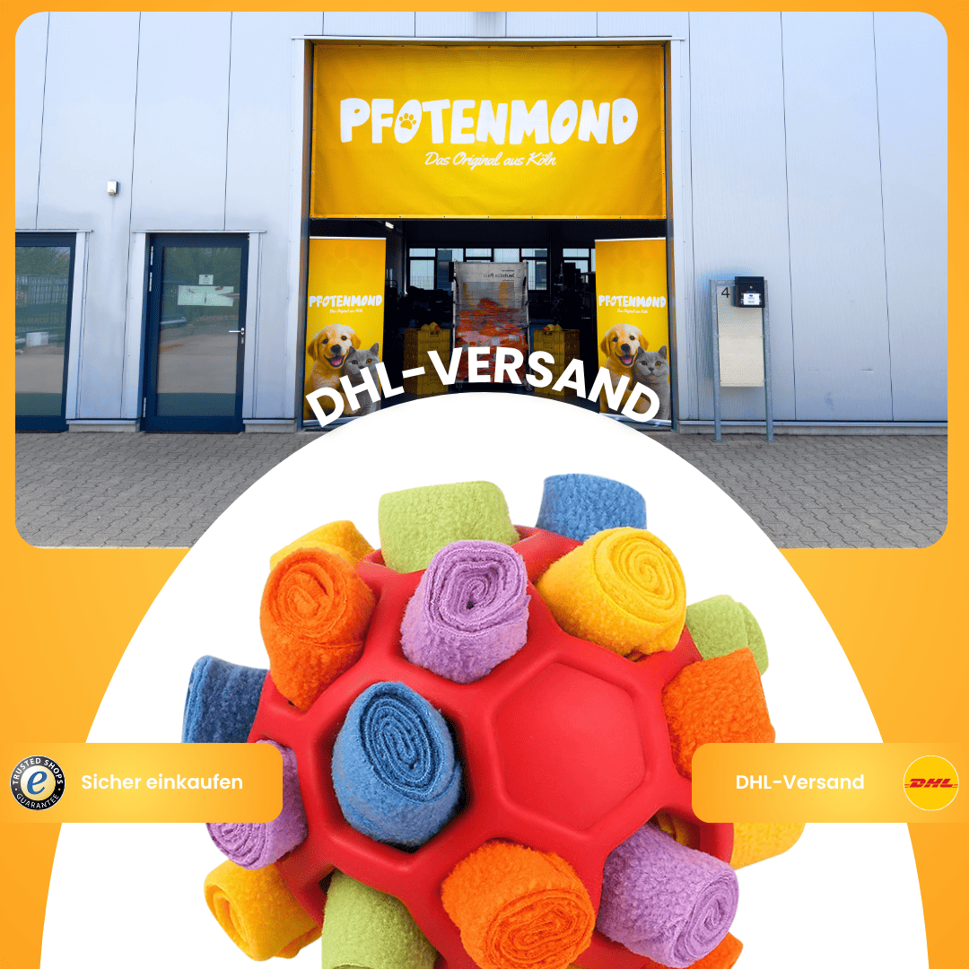 Pelota olfativa KikoPets