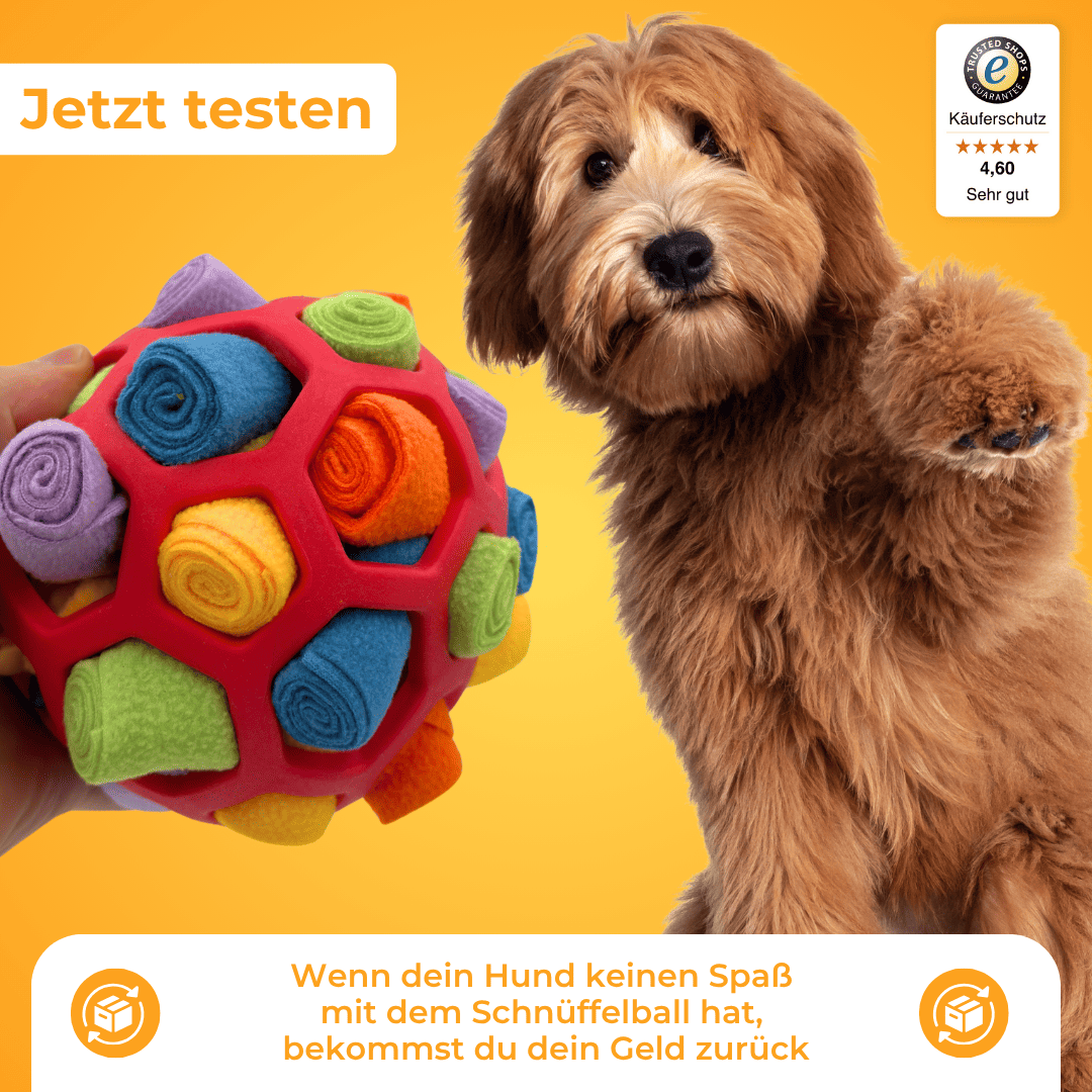 Pelota olfativa KikoPets