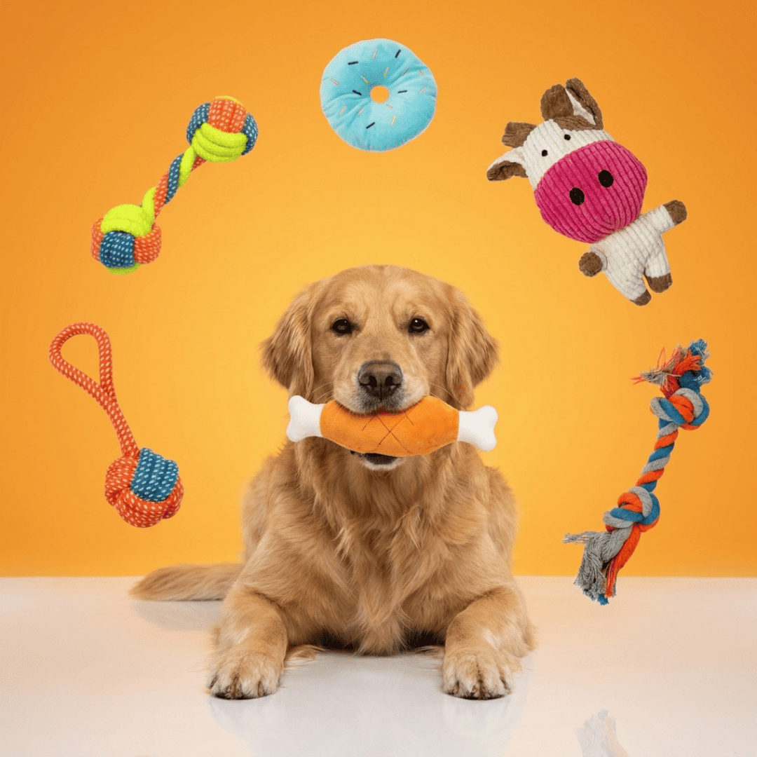 Set de 7 juguetes para perros