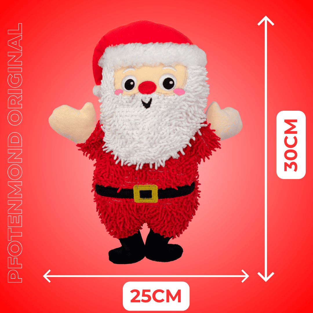 Santa Patitas