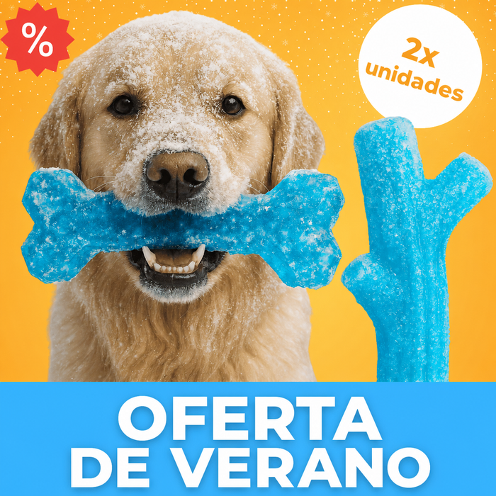 Hueso helado – Refrescante diversión