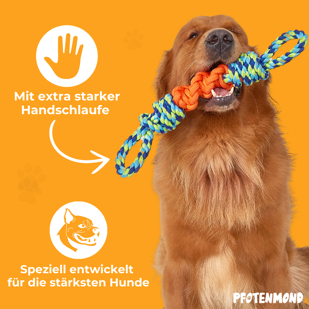 Cuerda de juego para perros