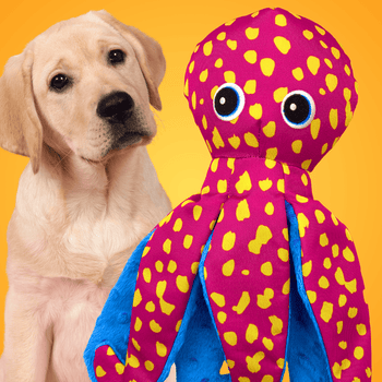 Pulpo Crujiente