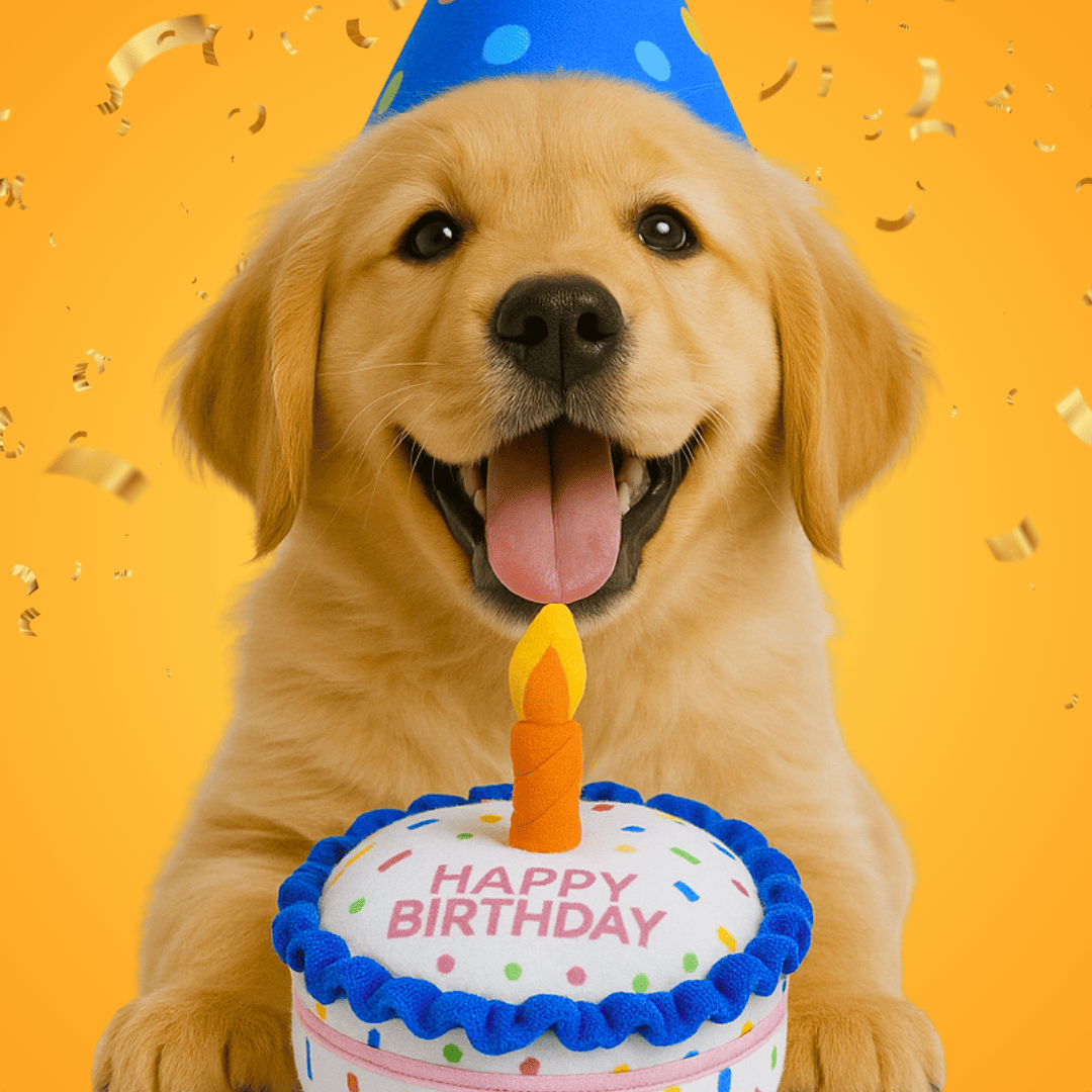 Tarta de cumpleaños para perros