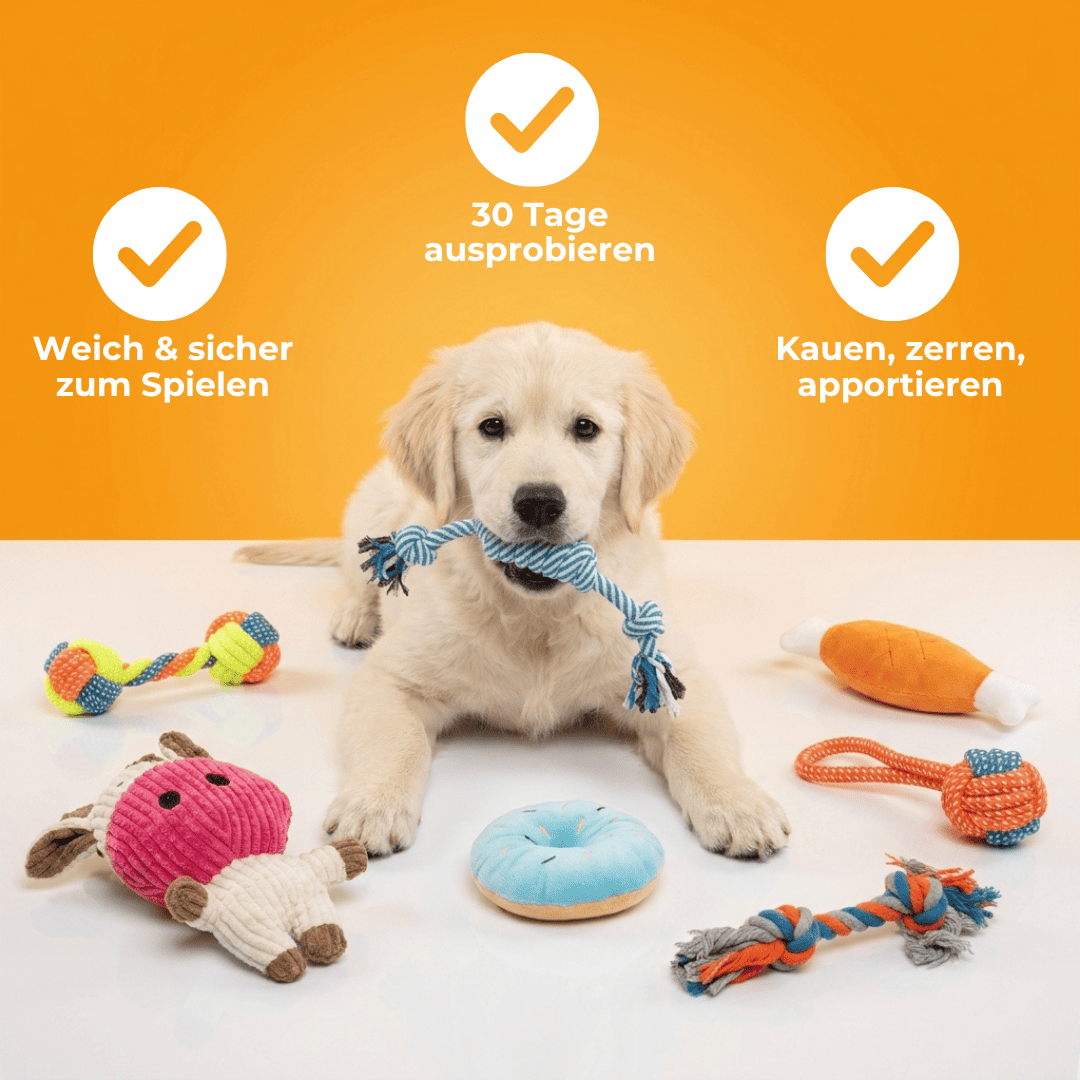 Set de 7 juguetes para perros