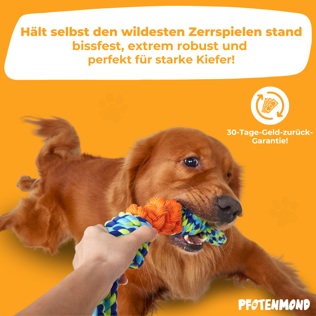 Cuerda de juego para perros