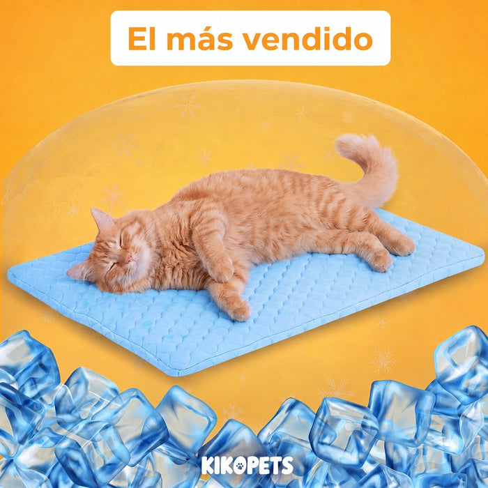 PatasFrescas
